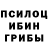 Галлюциногенные грибы Psilocybe Cyrich Andales