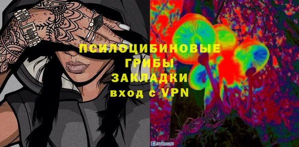 амф Богородск