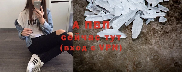 трава Богородицк