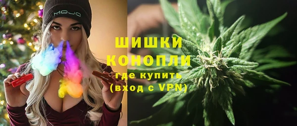 амф Богородск